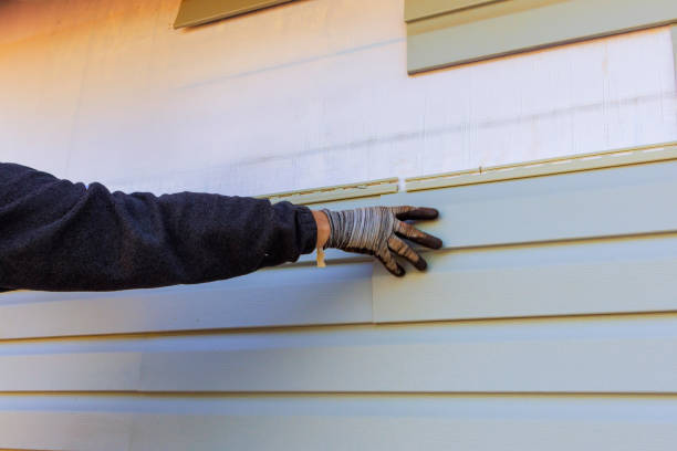 Best Custom Siding Design  in Newton Falls, OH